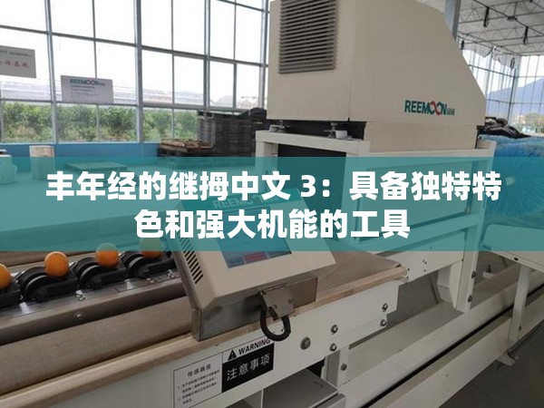丰年经的继拇中文 3：具备独特特色和强大机能的工具