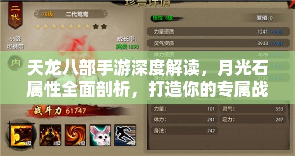 天龙八部手游深度解读，月光石属性全面剖析，打造你的专属战斗守护神
