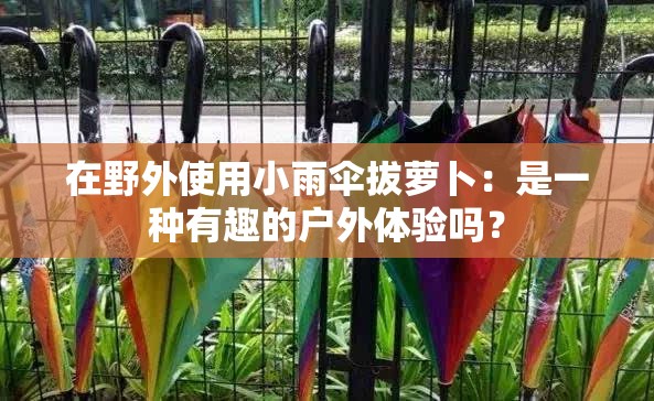 在野外使用小雨伞拔萝卜：是一种有趣的户外体验吗？
