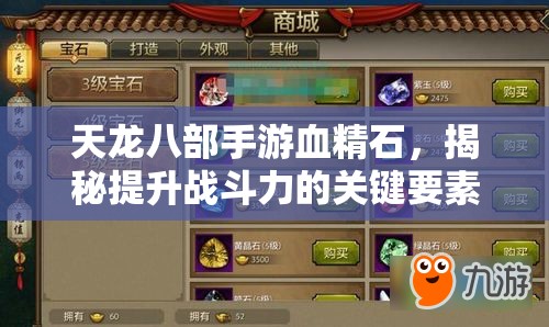 天龙八部手游血精石，揭秘提升战斗力的关键要素与策略