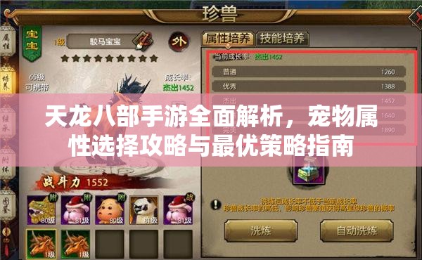 天龙八部手游全面解析，宠物属性选择攻略与最优策略指南