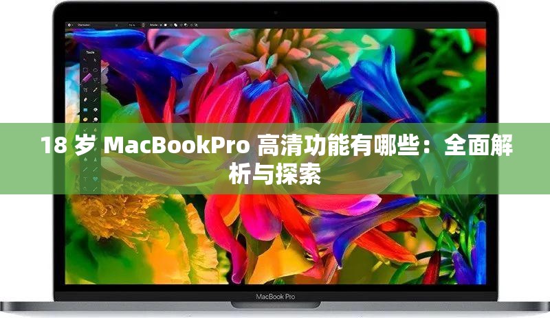 18 岁 MacBookPro 高清功能有哪些：全面解析与探索