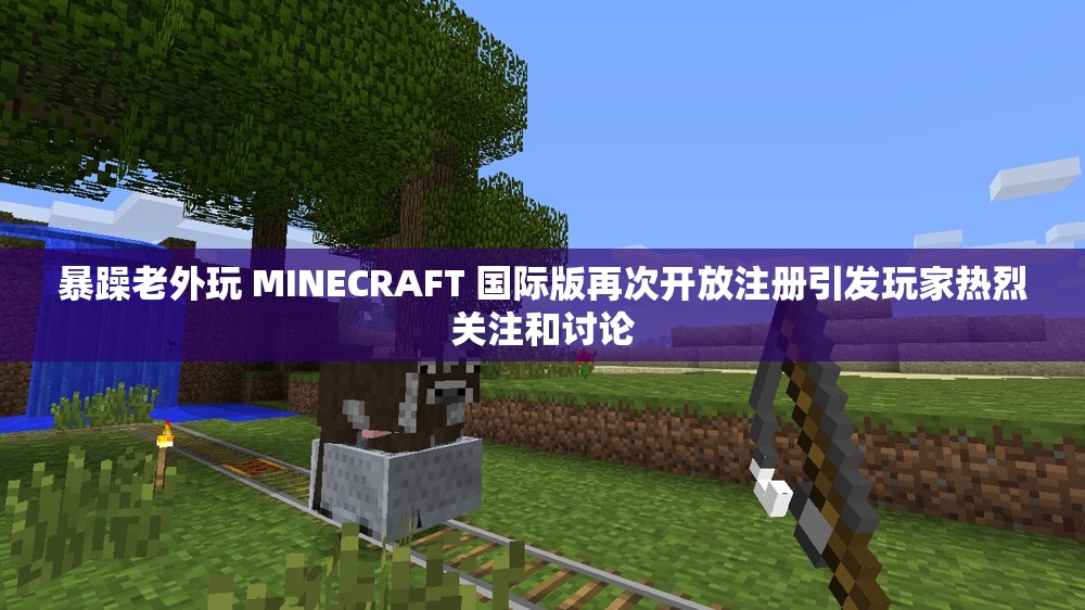 暴躁老外玩 MINECRAFT 国际版再次开放注册引发玩家热烈关注和讨论