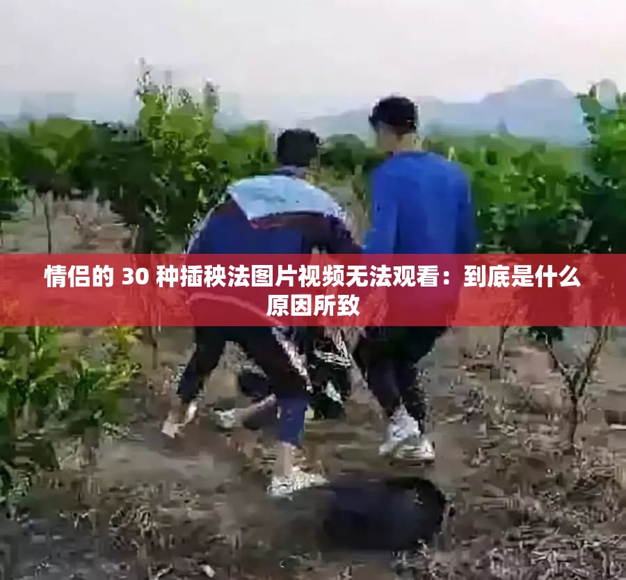情侣的 30 种插秧法图片视频无法观看：到底是什么原因所致