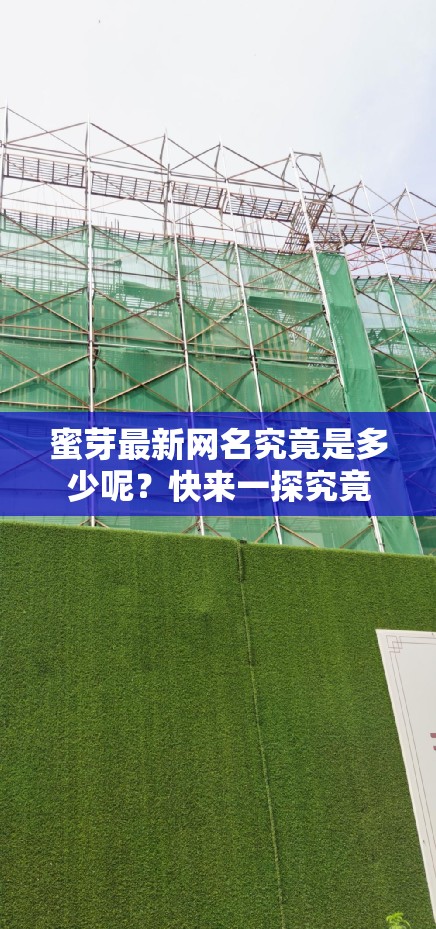 蜜芽最新网名究竟是多少呢？快来一探究竟