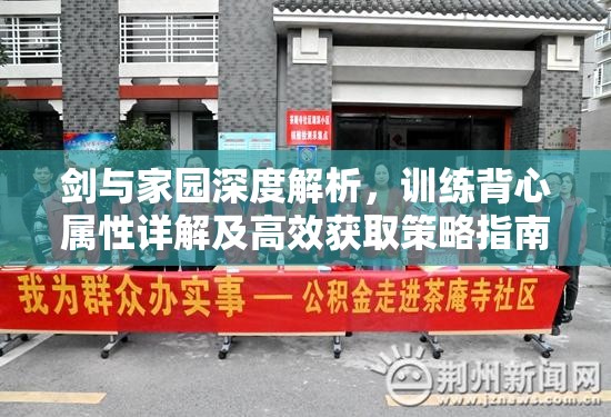剑与家园深度解析，训练背心属性详解及高效获取策略指南