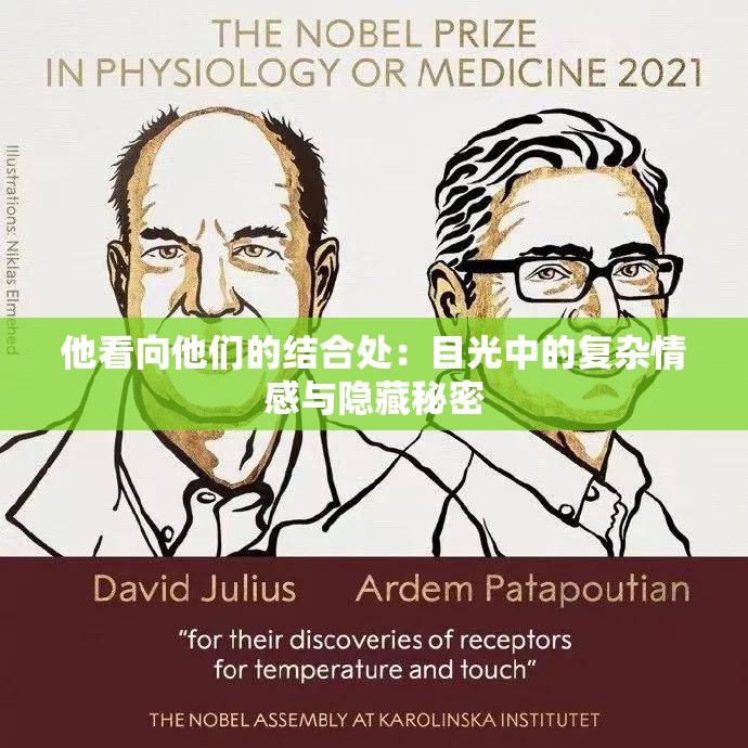 他看向他们的结合处：目光中的复杂情感与隐藏秘密