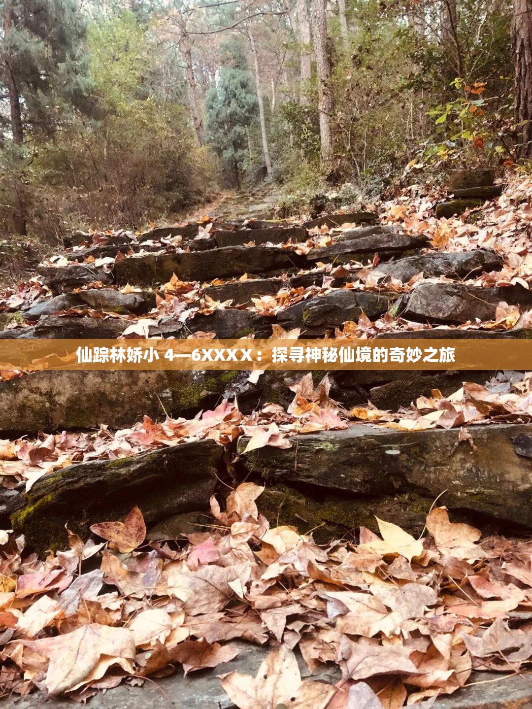 仙踪林娇小 4—6XXXⅩ：探寻神秘仙境的奇妙之旅