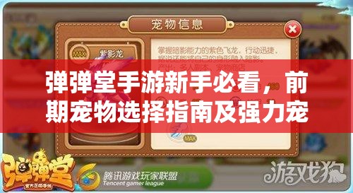 弹弹堂手游新手必看，前期宠物选择指南及强力宠物推荐