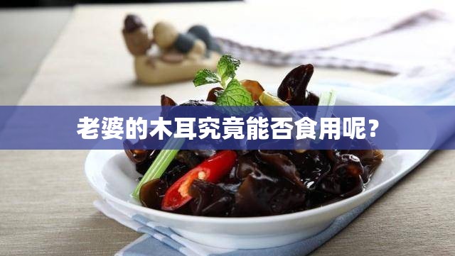 老婆的木耳究竟能否食用呢？