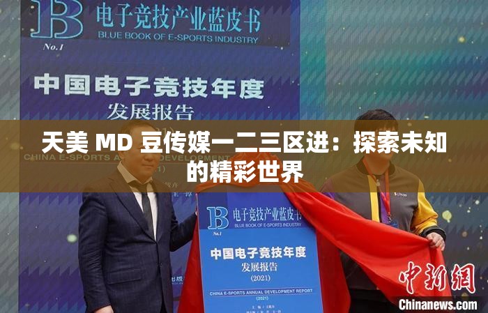 天美 MD 豆传媒一二三区进：探索未知的精彩世界