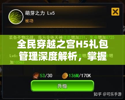 全民穿越之宫H5礼包管理深度解析，掌握技巧，解锁资源最大化利用的艺术