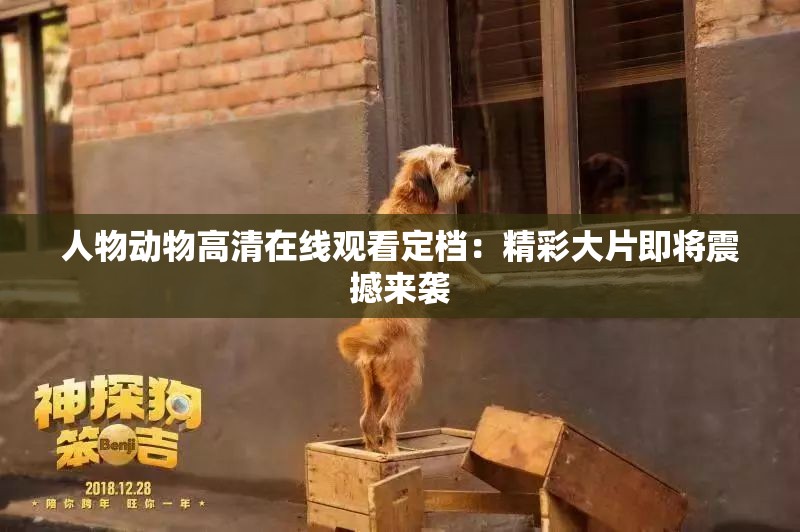 人物动物高清在线观看定档：精彩大片即将震撼来袭