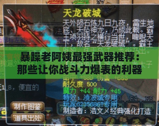 暴躁老阿姨最强武器推荐：那些让你战斗力爆表的利器