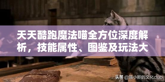 天天酷跑魔法喵全方位深度解析，技能属性、图鉴及玩法大揭秘