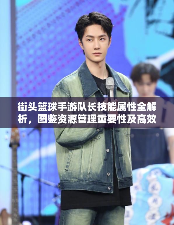 街头篮球手游队长技能属性全解析，图鉴资源管理重要性及高效策略应用