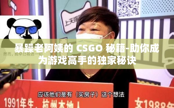 暴躁老阿姨的 CSGO 秘籍-助你成为游戏高手的独家秘诀