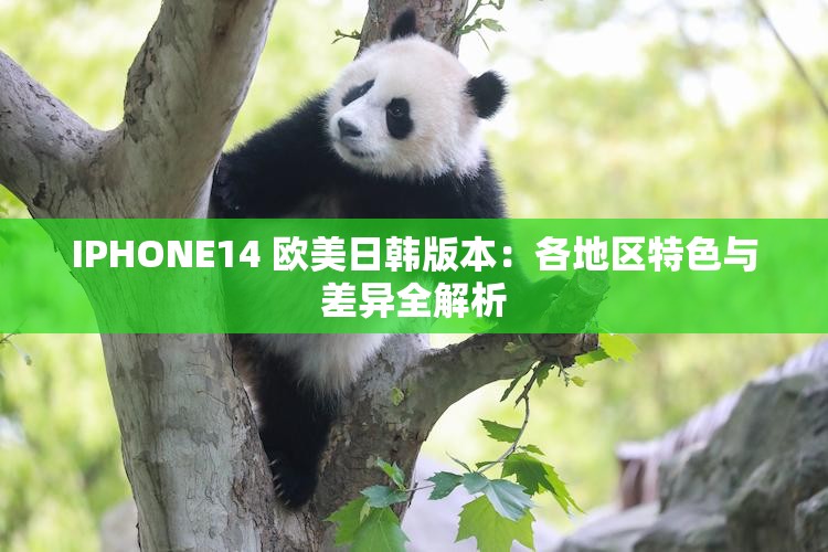 IPHONE14 欧美日韩版本：各地区特色与差异全解析