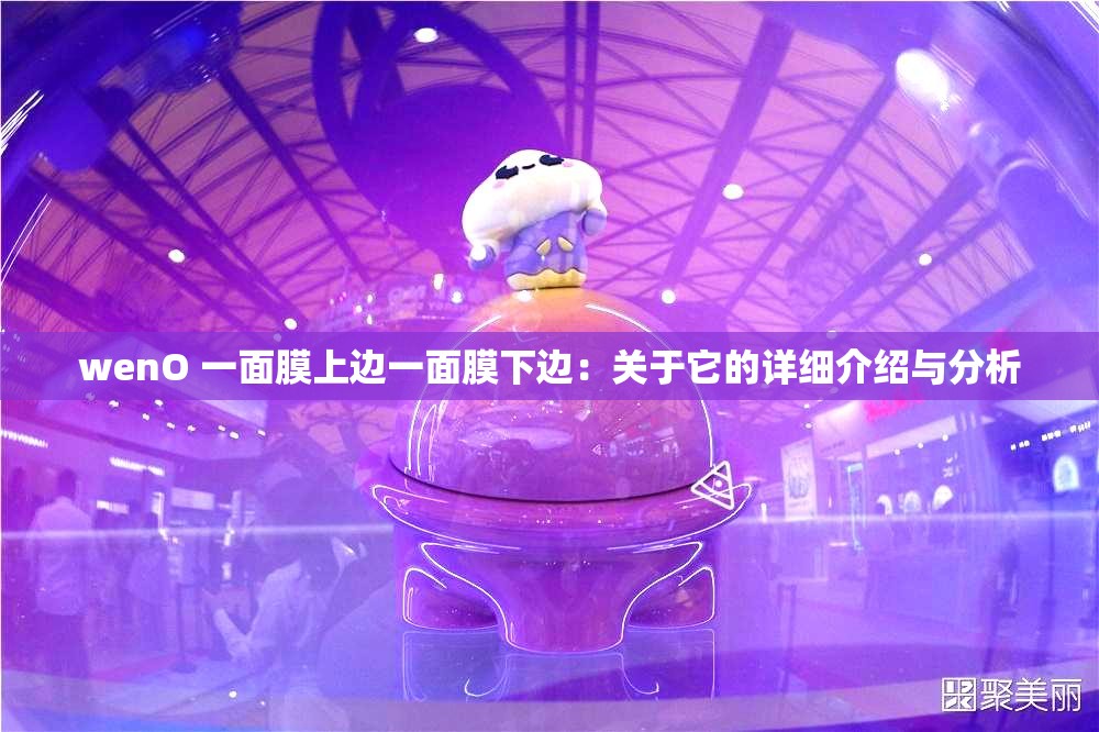 wenO 一面膜上边一面膜下边：关于它的详细介绍与分析