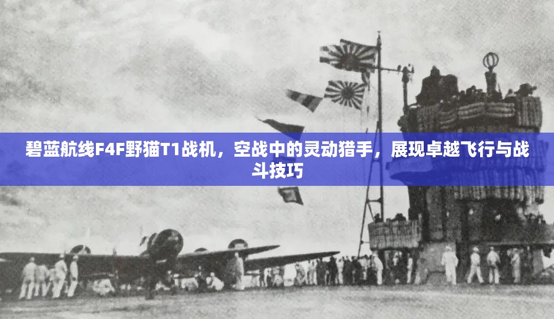 碧蓝航线F4F野猫T1战机，空战中的灵动猎手，展现卓越飞行与战斗技巧