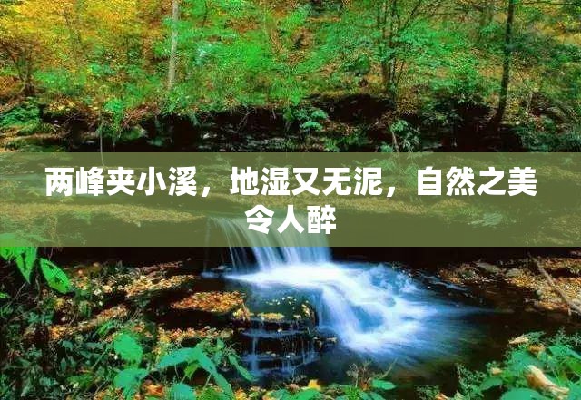 两峰夹小溪，地湿又无泥，自然之美令人醉