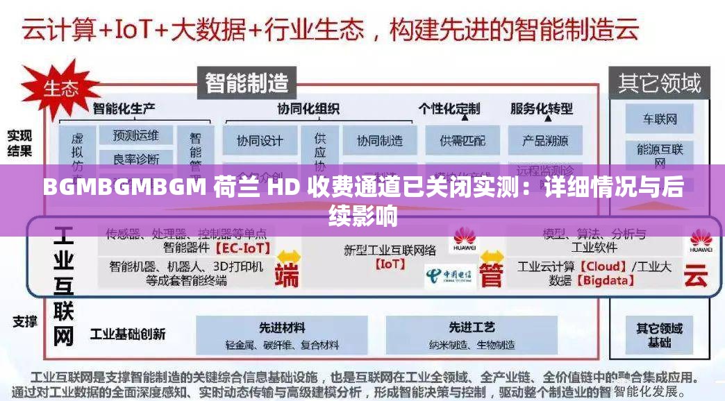BGMBGMBGM 荷兰 HD 收费通道已关闭实测：详细情况与后续影响