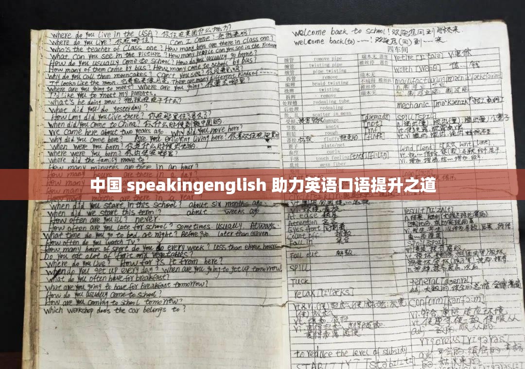 中国 speakingenglish 助力英语口语提升之道