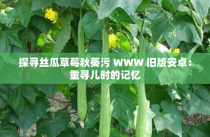 探寻丝瓜草莓秋葵污 WWW 旧版安卓：重寻儿时的记忆