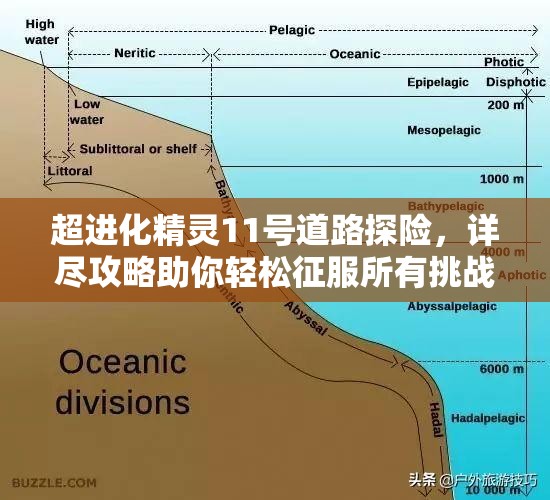 超进化精灵11号道路探险，详尽攻略助你轻松征服所有挑战