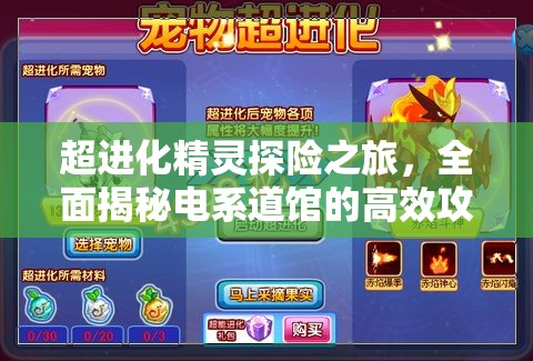 超进化精灵探险之旅，全面揭秘电系道馆的高效攻略技巧