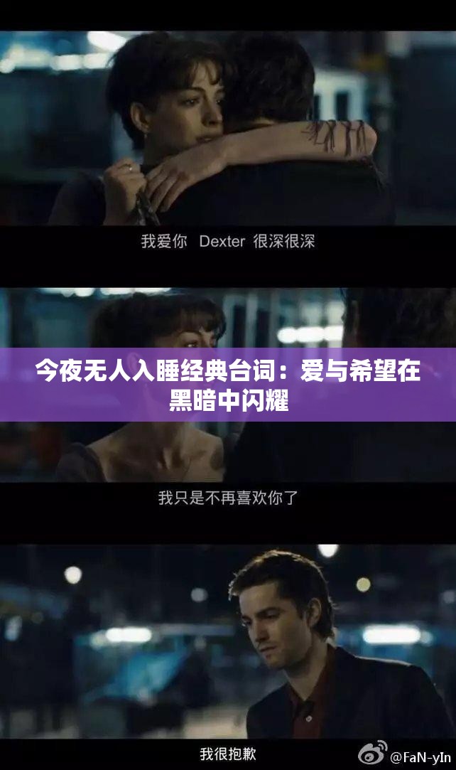 今夜无人入睡经典台词：爱与希望在黑暗中闪耀