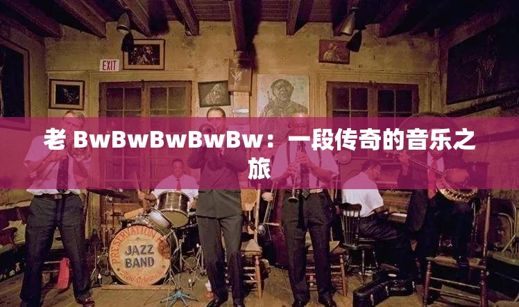 老 BwBwBwBwBw：一段传奇的音乐之旅
