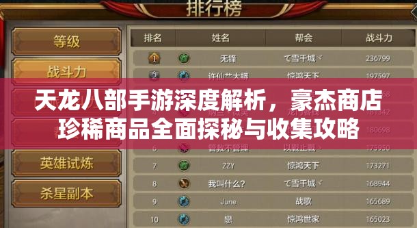 天龙八部手游深度解析，豪杰商店珍稀商品全面探秘与收集攻略