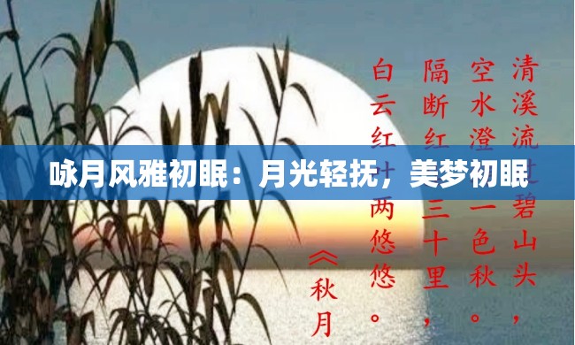 咏月风雅初眠：月光轻抚，美梦初眠