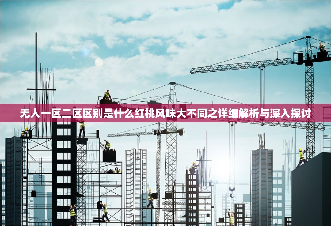 无人一区二区区别是什么红桃风味大不同之详细解析与深入探讨