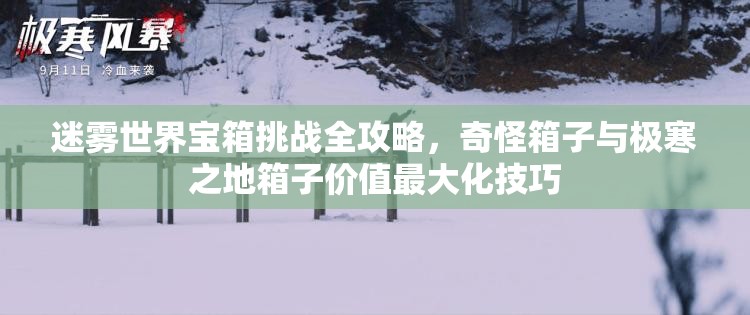 迷雾世界宝箱挑战全攻略，奇怪箱子与极寒之地箱子价值最大化技巧