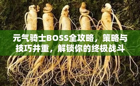 元气骑士BOSS全攻略，策略与技巧并重，解锁你的终极战斗潜能