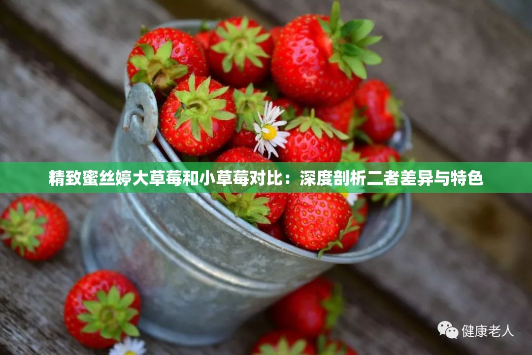 精致蜜丝婷大草莓和小草莓对比：深度剖析二者差异与特色