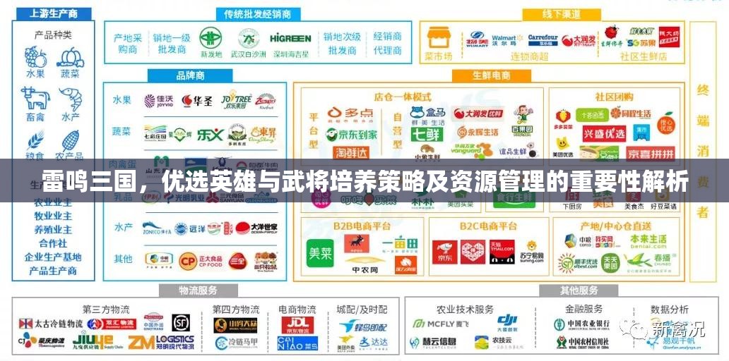 雷鸣三国，优选英雄与武将培养策略及资源管理的重要性解析