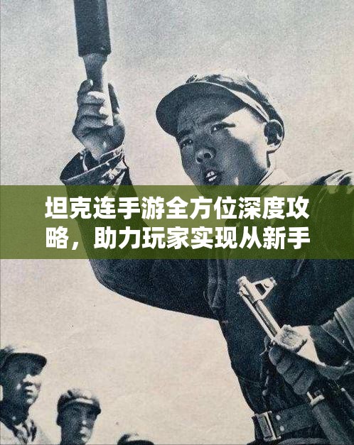 坦克连手游全方位深度攻略，助力玩家实现从新手到高手的完美蜕变
