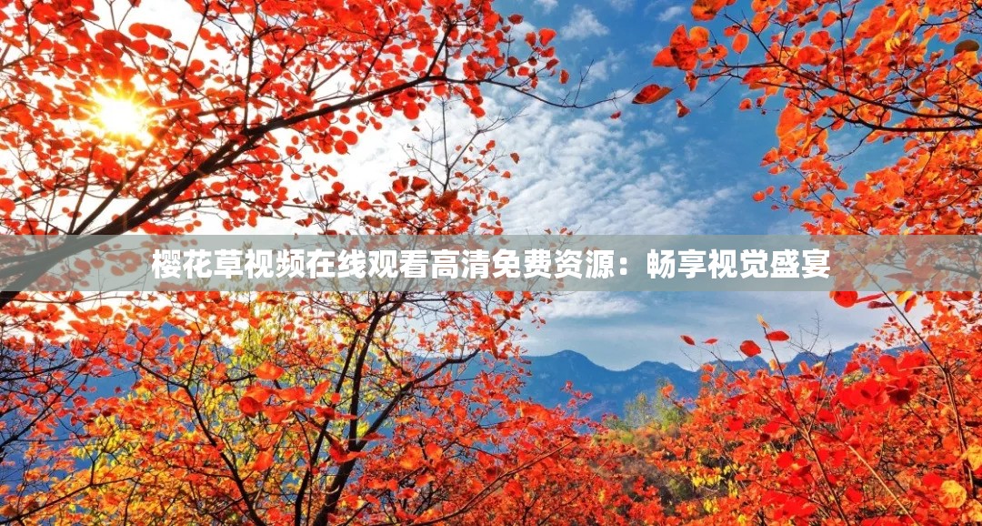 樱花草视频在线观看高清免费资源：畅享视觉盛宴