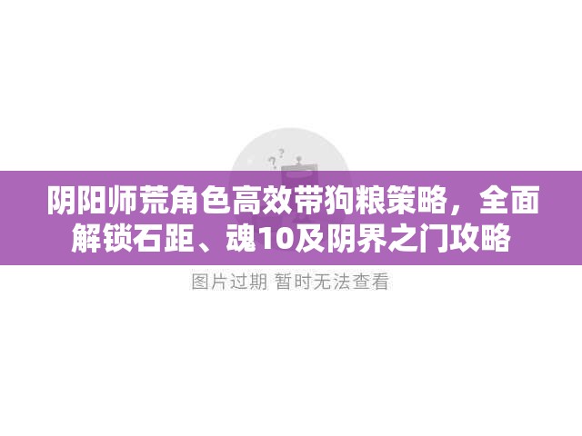阴阳师荒角色高效带狗粮策略，全面解锁石距、魂10及阴界之门攻略