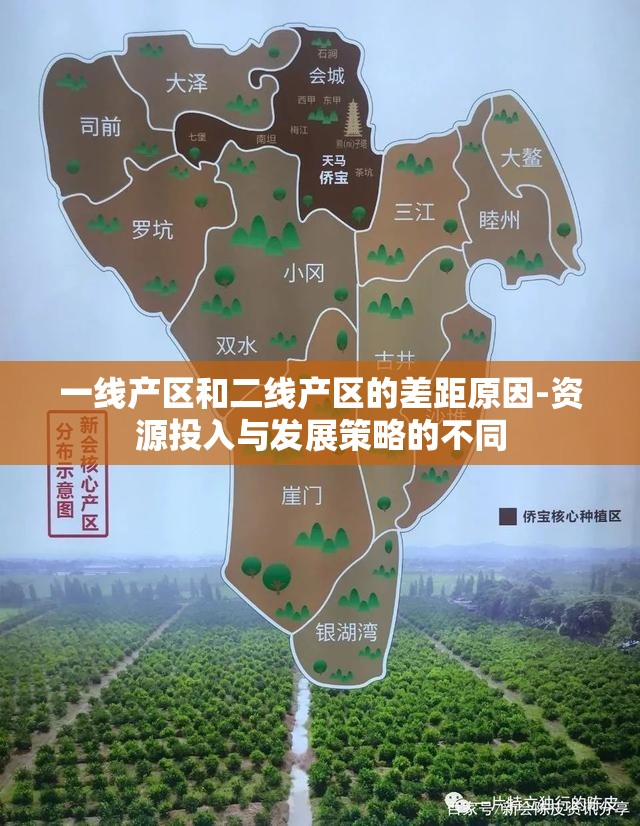 一线产区和二线产区的差距原因-资源投入与发展策略的不同