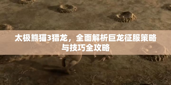 太极熊猫3猎龙，全面解析巨龙征服策略与技巧全攻略