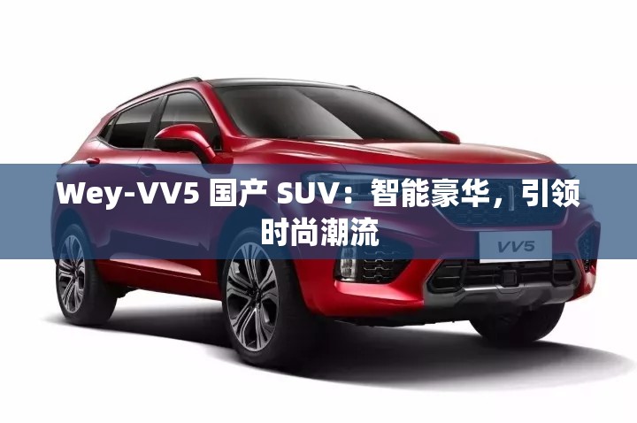 Wey-VV5 国产 SUV：智能豪华，引领时尚潮流
