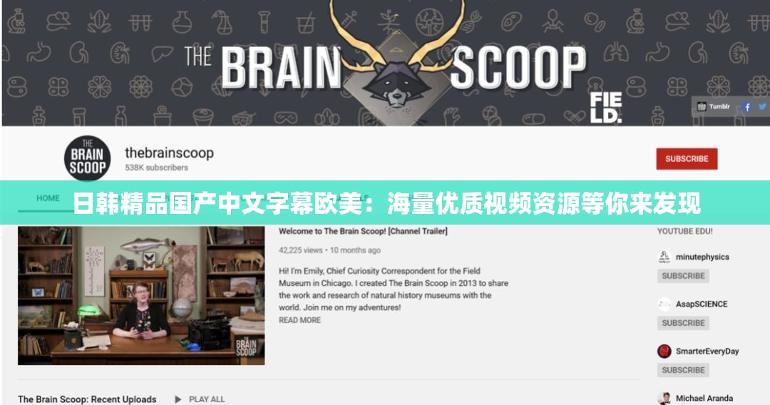 日韩精品国产中文字幕欧美：海量优质视频资源等你来发现