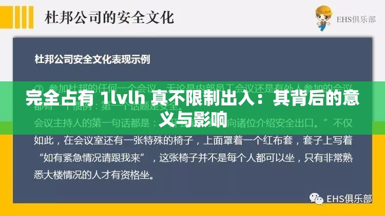 完全占有 1lvlh 真不限制出入：其背后的意义与影响