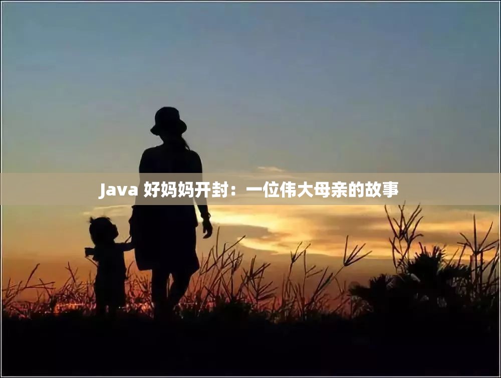 Java 好妈妈开封：一位伟大母亲的故事