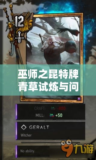 巫师之昆特牌青草试炼与问卷答案在资源管理中的核心价值及高效整合利用策略