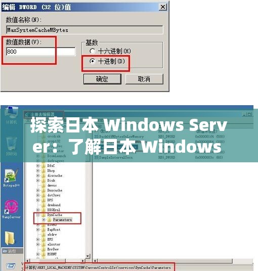 探索日本 Windows Server：了解日本 Windows Server 系统的新视角